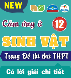 Cảm ứng ở Sinh vật (VD_VDC)